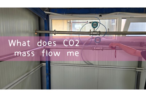 CO2 mass flow meter|venturi meter